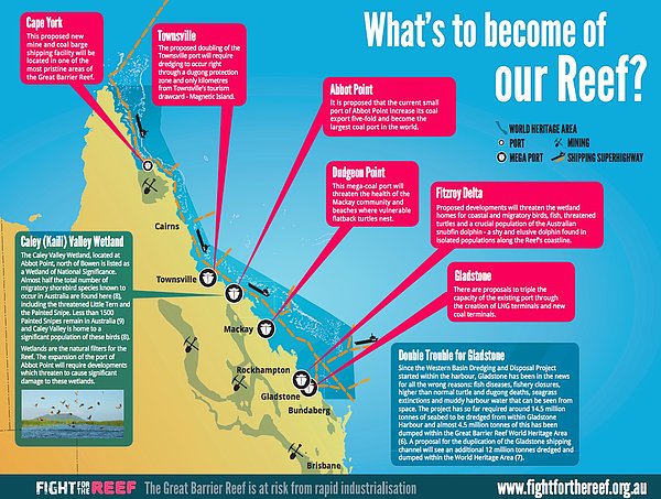 WWF ve Avustralya Su Hayatını Koruma Derneği, Resif için savaşmak amacıyla bir kampanya başlattı