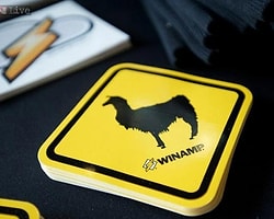 Winamp Satıldı, Kapanmaktan Kurtuldu