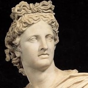 apelledi apollo Yazar Profil Resmi
