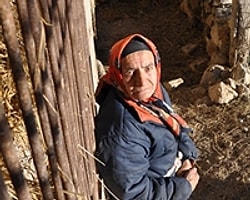 Siyad Ödülüne "Ot" Da Talip