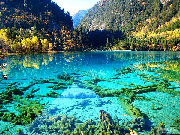 Crystalline Turquoise Lake, Jiuzhaigou National Park, China