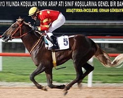 2013 YILI TÜRK ARAP ATI SINIF KOŞULARINA GENEL BİR BAKIŞ