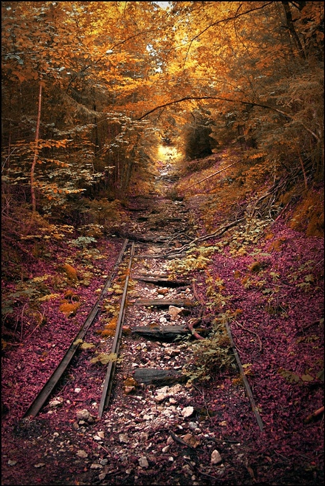 37. Demiryolu / Lübnan / Missouri