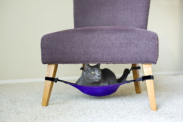6. Sandalye altı kedi yatağı