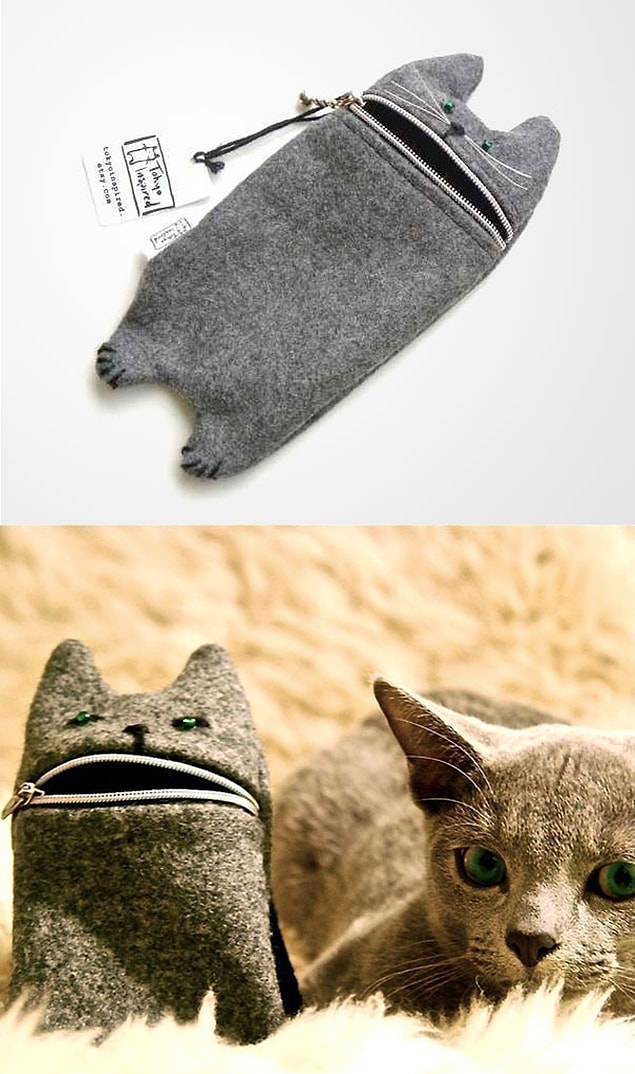 22. Kedi iPod/iPhone kılıfı