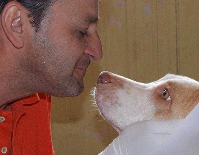 Gözlerinizi Yaşartacak Bir Kurtuluş Hikayesi: Köpek Davi ve Kahramanı Wilson