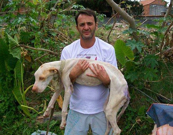 3. Wilson'la tanışın. O hayatını Rio De Jenerio'da zor durumda kalan hayvanları kurtarmaya adamış bir gönüllü.