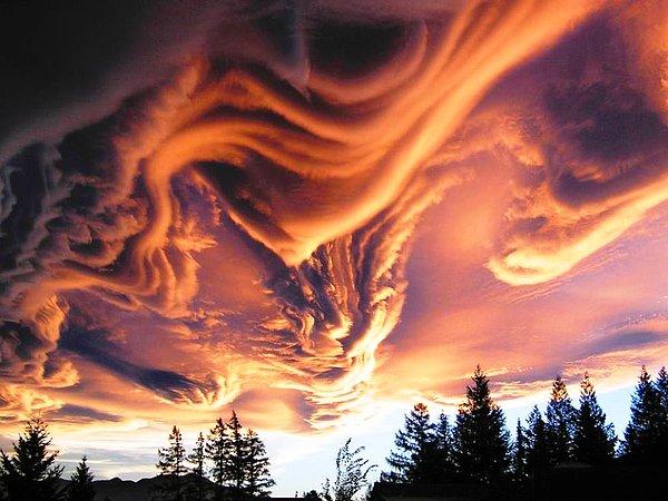 1. Yeni Zelanda üzerindeki Asperatus bulutları