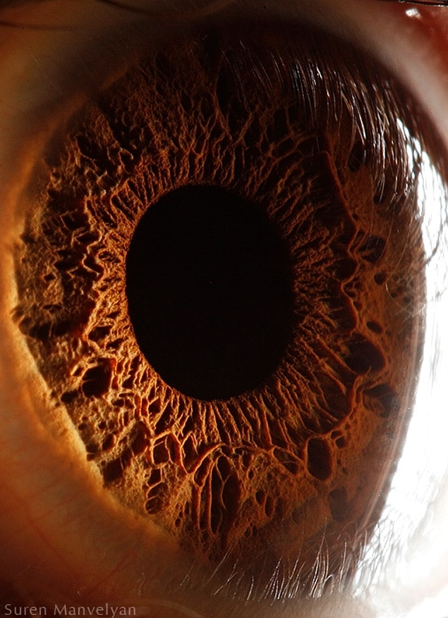 13.