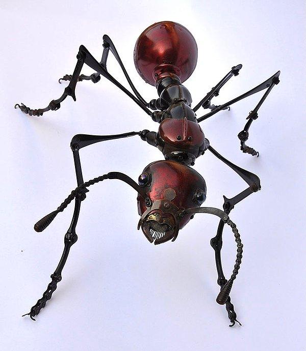11. Kızıl Karınca