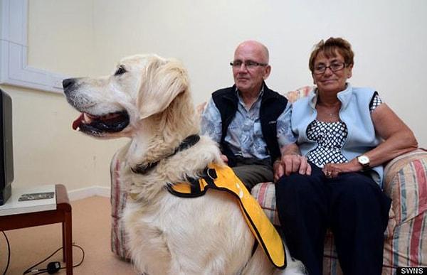 20. Köpekler bunaklık hastalığına sahip olan yaşlılara yardımcı olmaktadır
