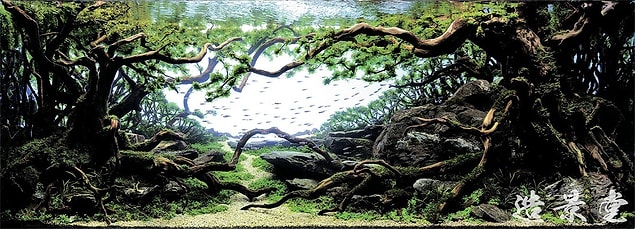 Pale Wind