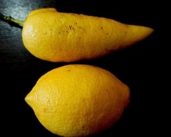 Biber Görünümlü Limon!