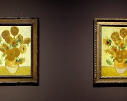 Van Gogh'un 'Ayçiçekleri' Buluşuyor