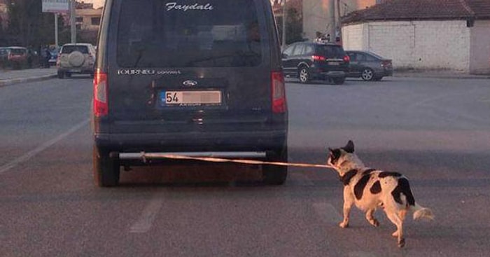 Günün Zalimi Sakarya'dan...