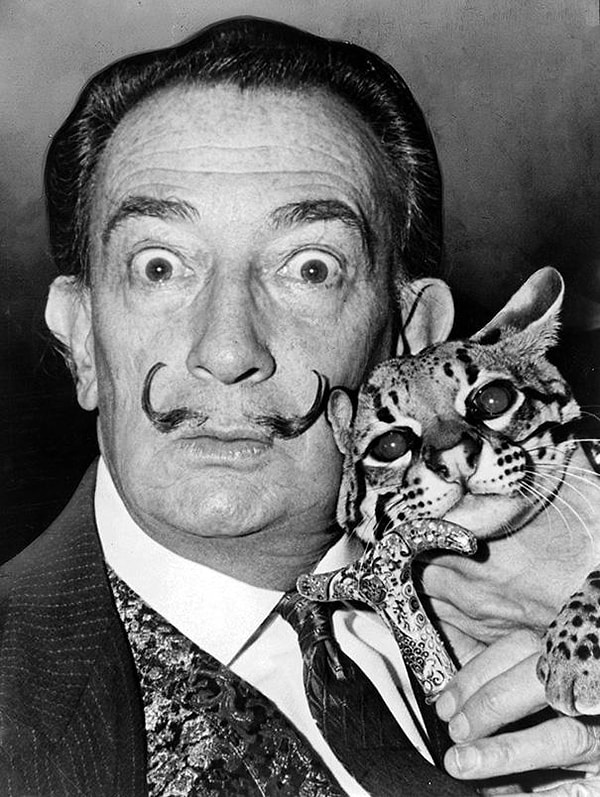 1. Salvador Dali ve Babou isimli Oselo'su