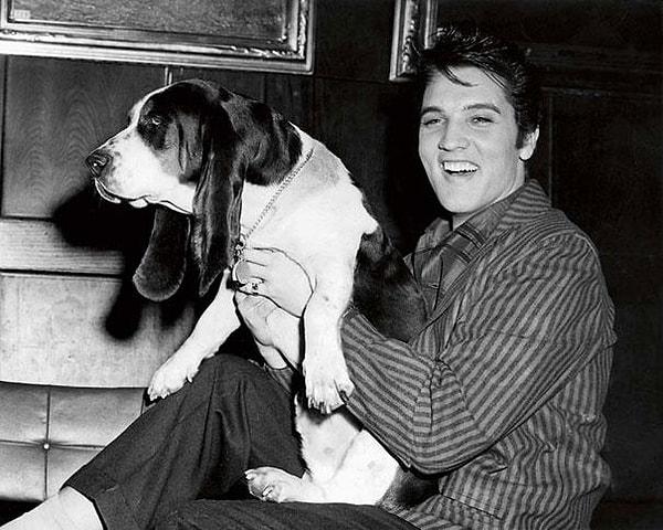 6. Elvis Presley ve onun av köpeği