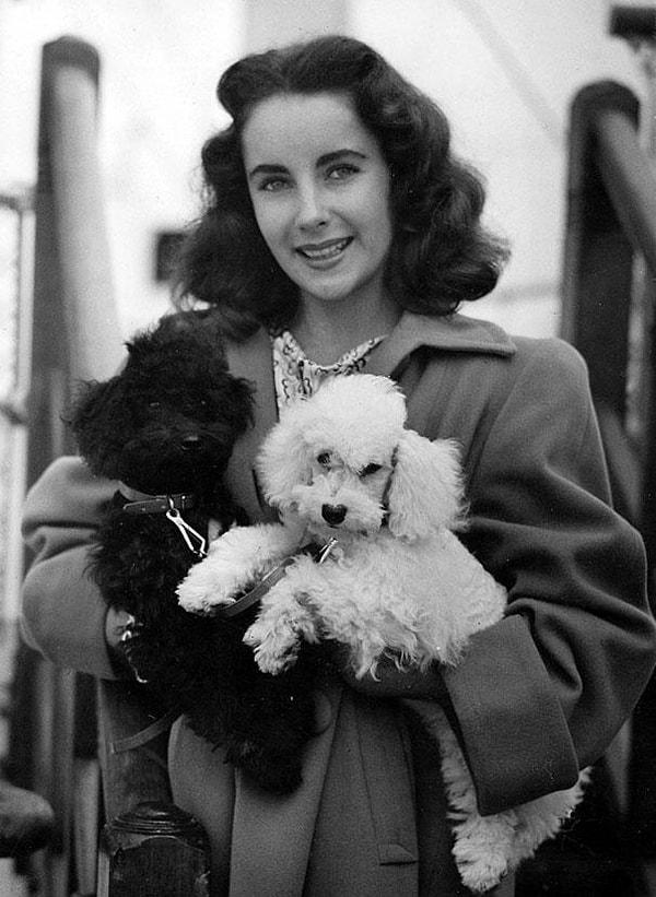 20. Elizabeth Taylor ve köpekleri