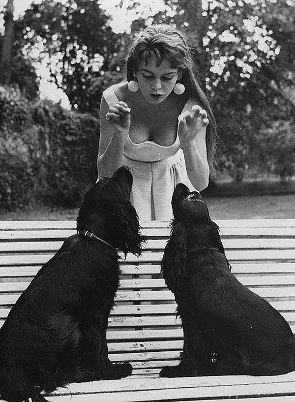 23. Brigitte Bardot ve onun siyah Spanyelleri