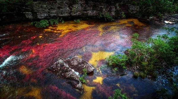 5 Renk Nehri, Colombia