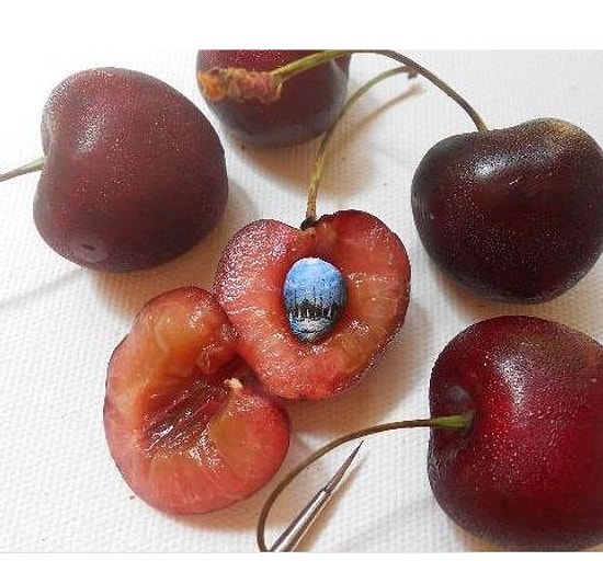 Tuval Yerine Pirinç, Balık Pulu: Hasan Kale ve Mikrominyatür'ün Harika Örnekleri