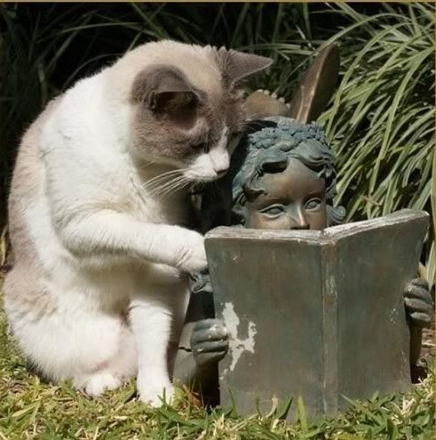 14. O kadar çok kitap okudunuz ki artık hayatınıza nasıl heyecan ve dram katacağınızı biliyorsunuz.