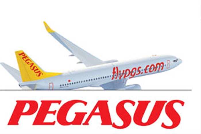 Pegasus'dan Harvard Business'a Ortaklık