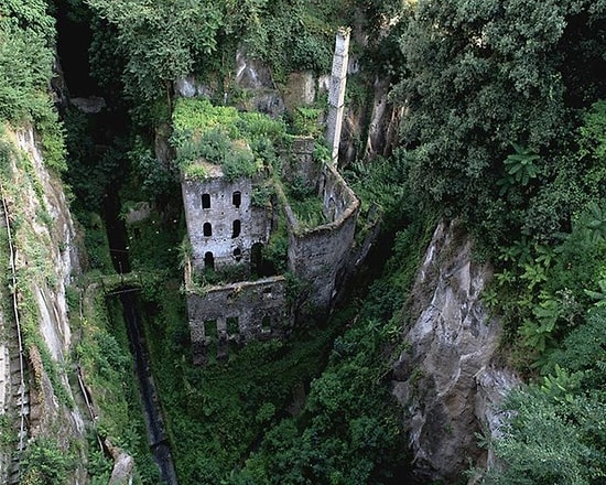 İnsanlardan Sonra Yaşam Nasıl Olurdu?
