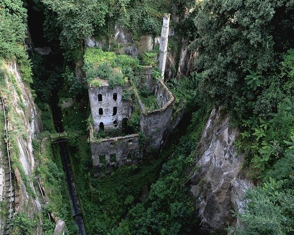 İnsanlardan Sonra Yaşam Nasıl Olurdu?