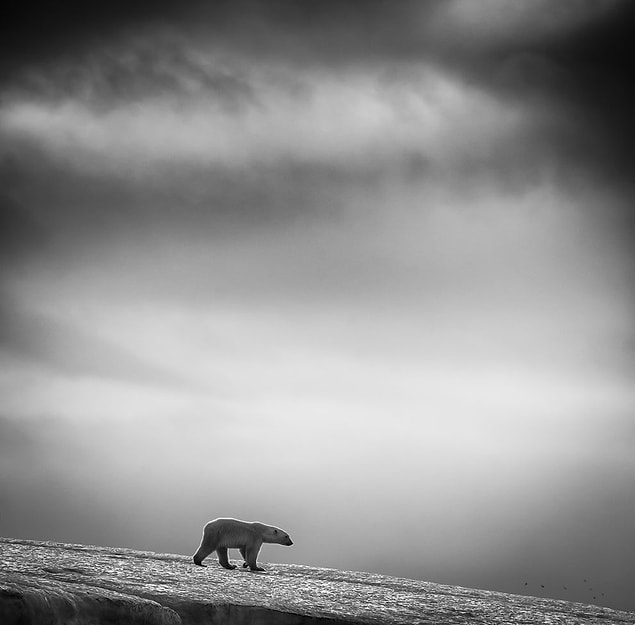 Svalbard, Norveç