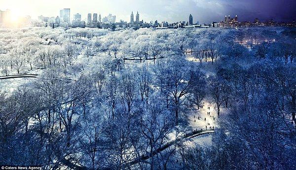12. Central Park (kış ayları), New York