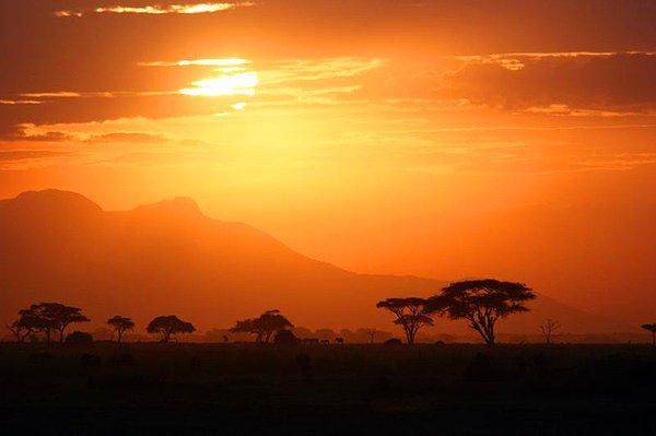 21. Serengeti, Tanzanya