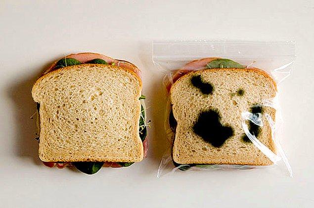 8. Araklanmaya Karşı Kokuşmuş Sandviç Poşeti