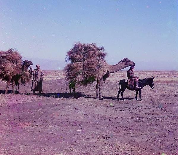 6. Sırtında yem taşıyan deve (Şimdiki Özbekistan toprakları)