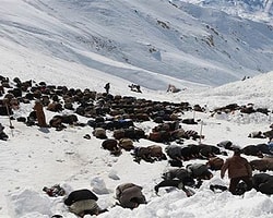 Çığ Aramasına Cuma Molası