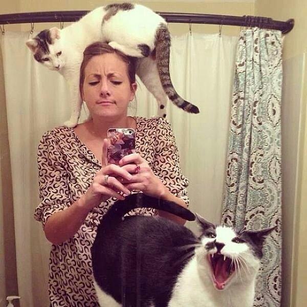 Kedi sonrası selfie'ler.