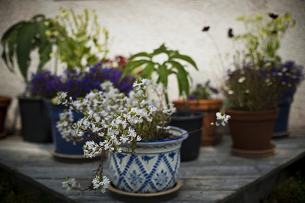 7. Хрупкие вещи до появления кошек в вашем доме.