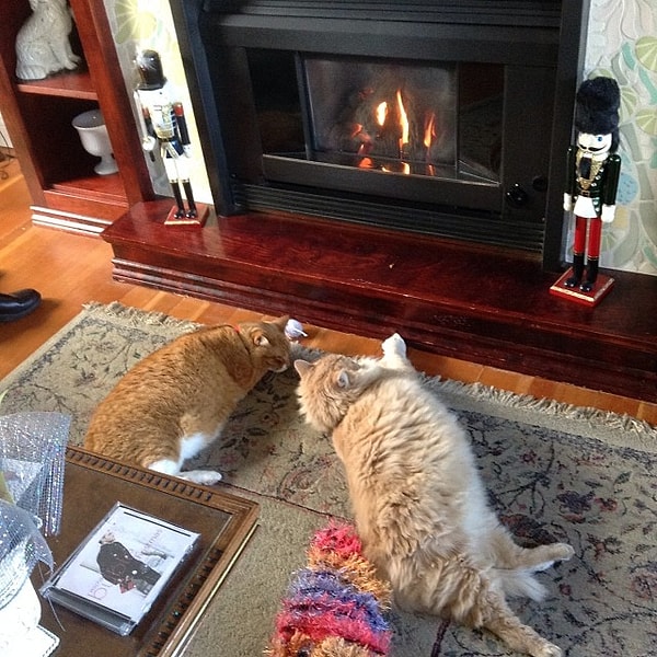 Отдых перед камином после их пришествия.