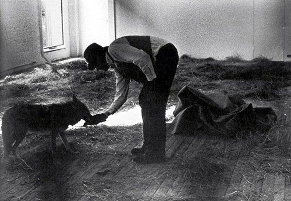Joseph Beuys tam 5 gün bir arada yaşadığı kurttan sonra, tekrardan keçeye sarılmış, sedyeye konularak, havalimanına götürülmüş ve ülkesine dönmüştür.