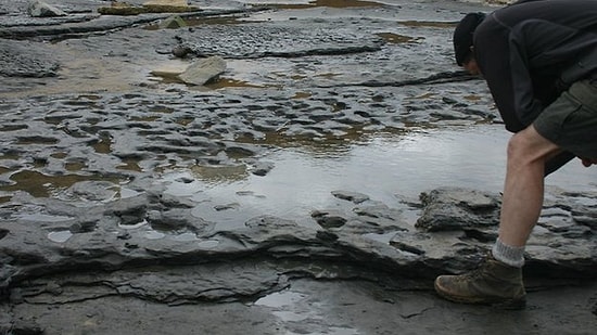 Dünyanın En Eski Ayak İzleri Bulundu