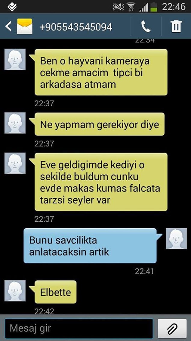 Mesaj 3