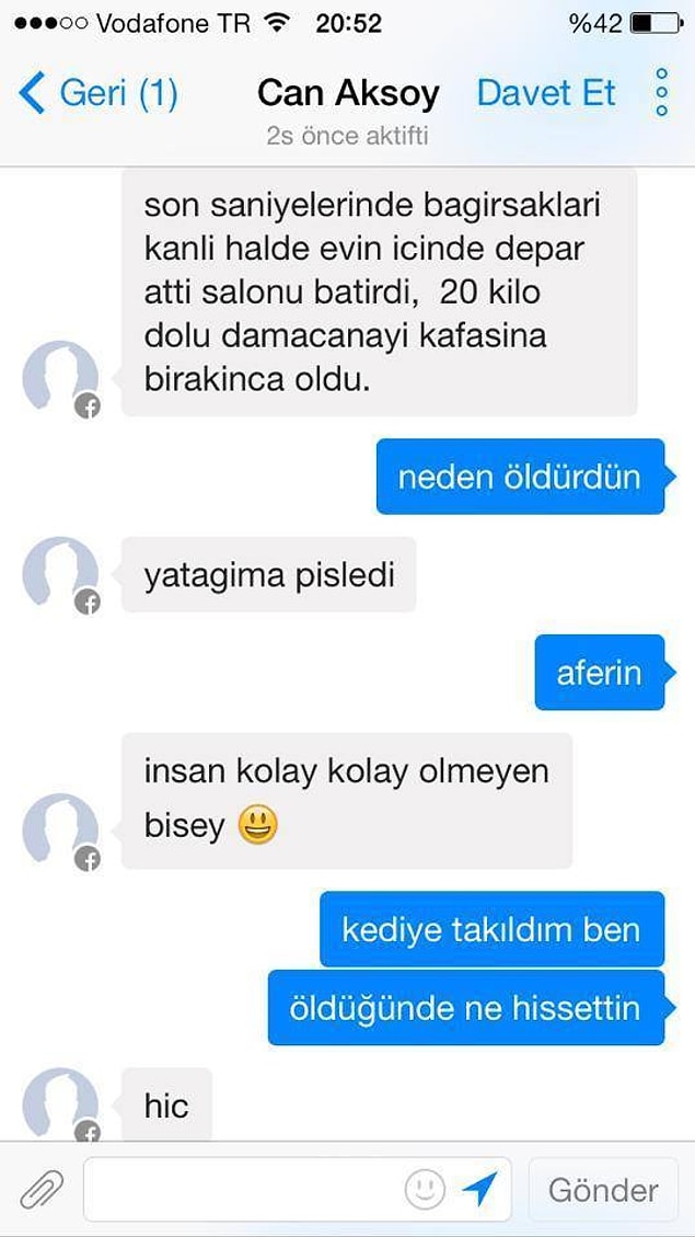 Mesaj 2