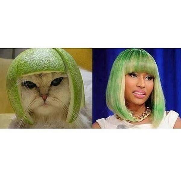3. Nicki Minaj & Melon  Cat