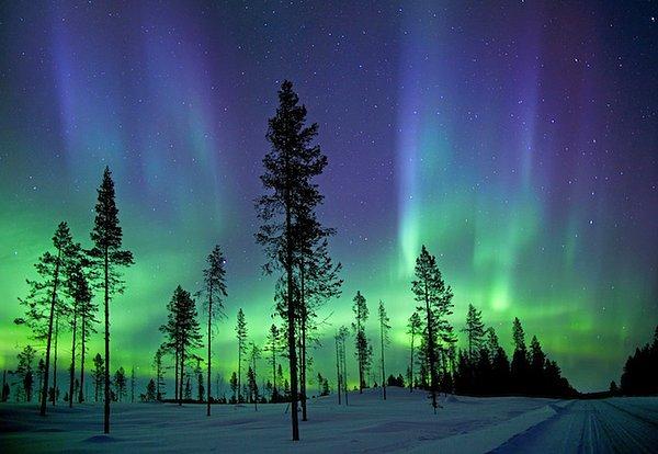 9. Sabahın erken saatlerinde fotoğraflanmış Aurora Borealis. (kuzey ışıkları) - Kuzey Kutup Dairesi