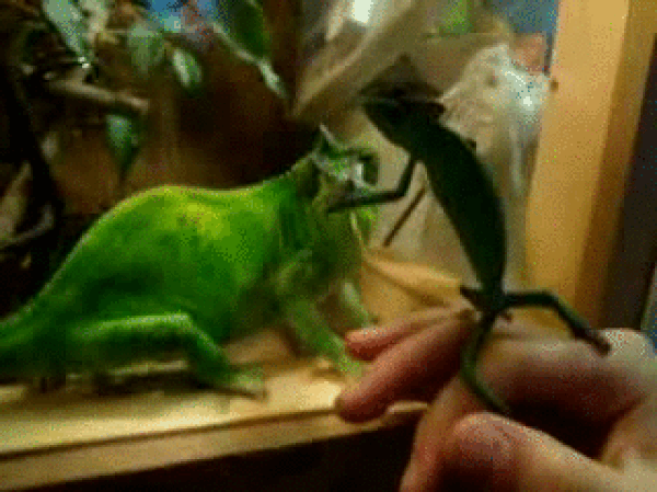 "Seni seviy...."