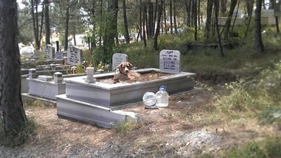 Mezarlıkta İlginç Olay
