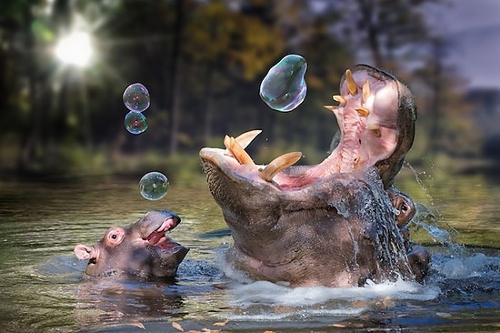 John Wilhelm Tarafından Hazırlanmış Süper Yaratıcı Fotoğraf Manipülasyonları