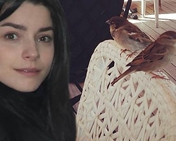 Merve Kuşları Karıştırınca...