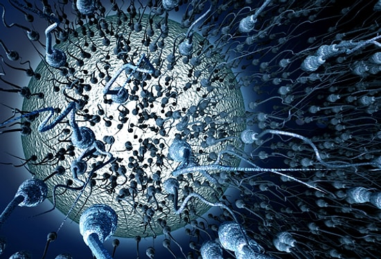 Geleceğin İçin Donunu Kontrol Et