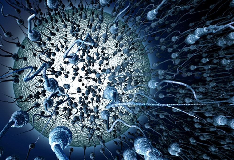 Geleceğin İçin Donunu Kontrol Et